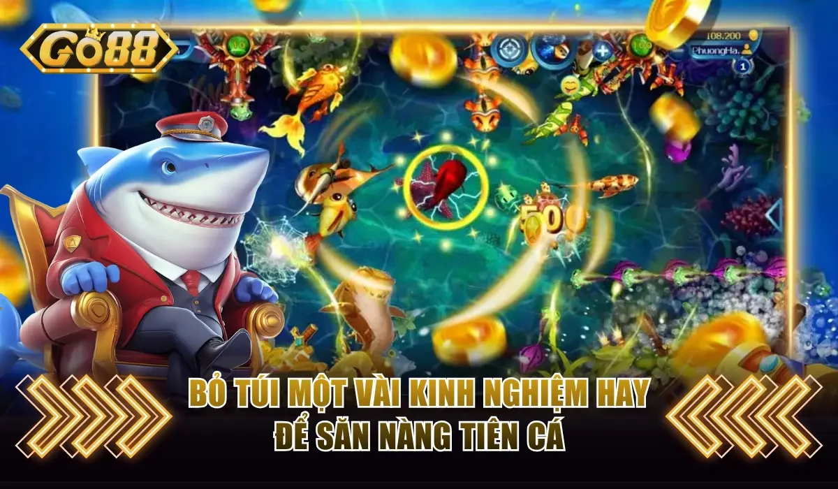 Mẹo Chơi Bắn Cá Go88 Luôn Thắng Từ Cao Thủ 4 bo tui mot vai kinh nghiem hay de san nang tien ca