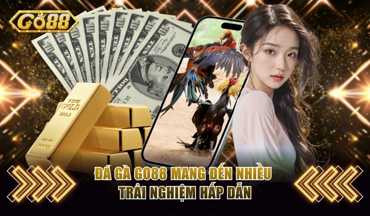 Đá Gà Go88 - Trận Đấu Hấp Dẫn Cùng Tỷ Lệ Thưởng Cao 2 Đá gà Go88 mang đến nhiều trải nghiệm hấp dẫn