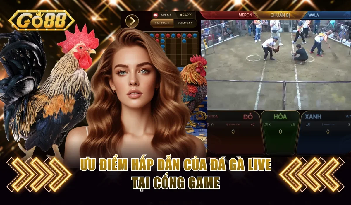 Đá Gà Go88 - Trận Đấu Hấp Dẫn Cùng Tỷ Lệ Thưởng Cao 3 Ưu điểm hấp dẫn của đá gà live tại cổng game